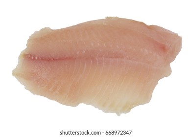 Boneless Tilapia Fish Filet On White Background 