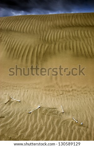Bones at the bottom of sand dunes and stormy clouds above