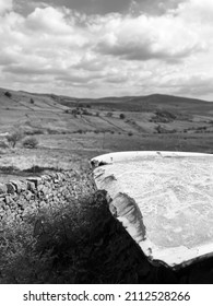 Bones Of A Classic Car Bonnet Contrasting Against The Back Drop Of Nature