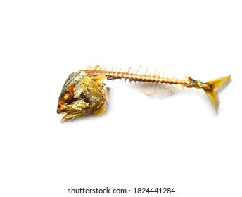 Bones And Fish Head Isolated On White Background. Remains Of Fried Fish. Food Scraps