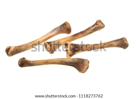 bones isolated on white background