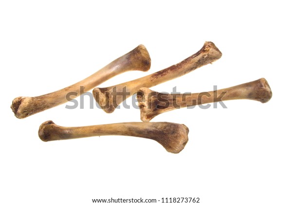 Bones Isolated On White Background Stock Photo (Edit Now) 1118273762