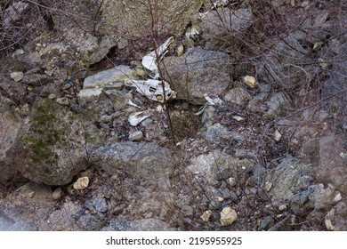 Bones And Skulls Of Animals That Fell Off A Cliff Onto Rocks. Creepy Hiking Trails. Background With Selective Focus And Copy Space For Text