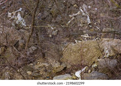 Bones And Skulls Of Animals That Fell Off A Cliff Onto Rocks. Creepy Hiking Trails. Background With Selective Focus And Copy Space For Text