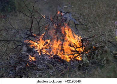 Bonfire