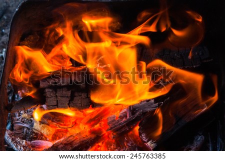 Similar – Image, Stock Photo Burning wood Adventure