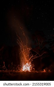 Bonfire At Australian Farm At Night