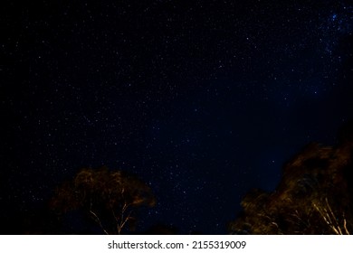 Bonfire At Australian Farm At Night