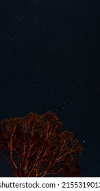 Bonfire At Australian Farm At Night