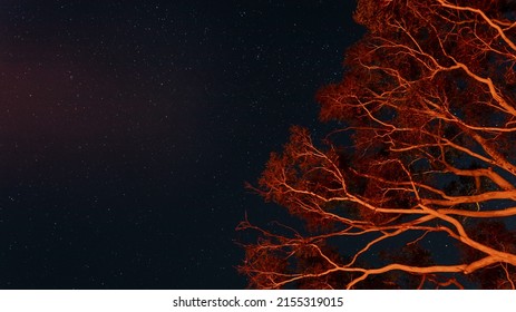 Bonfire At Australian Farm At Night