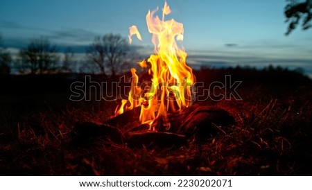 A Bonfire Burning in the Forest Meadow During Sunset. Slowmotion of Fireplace in Nature.