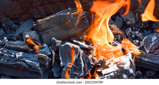 Bonfire Embers. BBQ Coals With Fire. Close-up Of The Combustion Process Of Wood, Charcoal For Barbecue