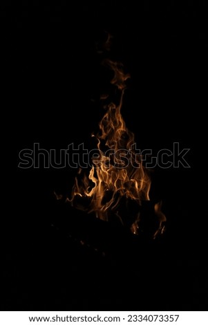 Bonfire fire in the backyard