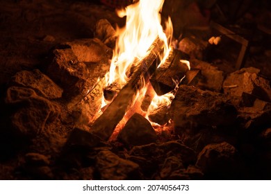 The Bonfire. The Fire. Flames. Burning Firewood Night Forest