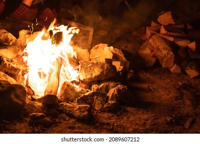 The Bonfire, The Fire, The Flames. Burning Firewood Night Forest