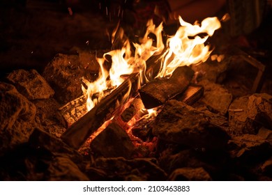 The Bonfire. The Fire. Flames. Burning Firewood Night Forest