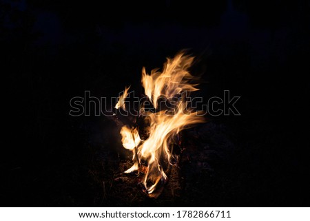 Similar – Foto Bild Lagerfeuer im Wald Freude