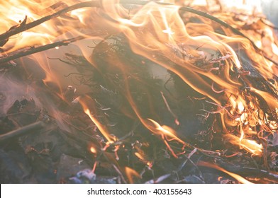 Bonfire flame with high flames close to the big smoke