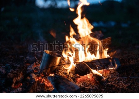 Bonfire. Large orange flame on a black background. Fire on black. Brightly, heat, light, camping