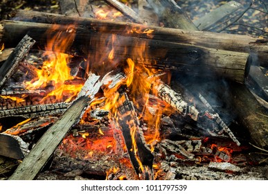 bonfire with logs on the street - Shutterstock ID 1011797539