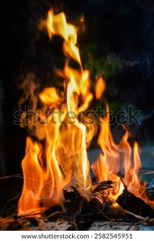 Bonfire makes fire, black background