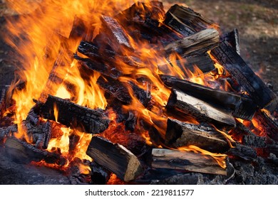 Bonfire on the garden plot. Burning wood outdoors. Heat source from ecological fuel in cold weather.