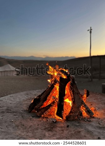 Bonfire in the Sahara desert during the sunset. 