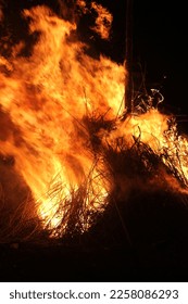 Bonfire of San Antonio ,Albentosa Teruel - Shutterstock ID 2258086293