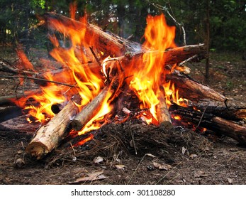Bonfire in the spring forest. Coals of fire. Ukraine - Shutterstock ID 301108280