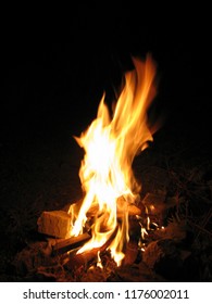 Bonfire in steppe