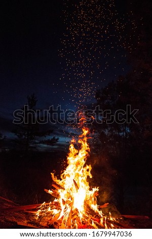 A bonfire at the summer evening.