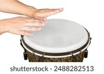 Bongo drum. Hands of a musician playing on bongs isolated on white background. The musician plays the bongo. Close up of musician hand playing bongos drums. 