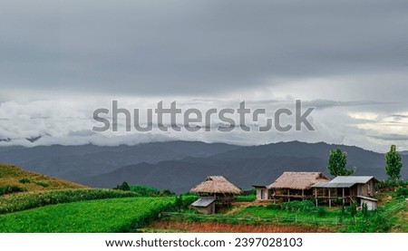 Bongpieng rice terrace on the mountain at chiengmai, The most beautiful rice terraces in Thailand