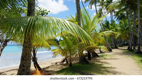 Bonita Beach On Samana In The Dominican Republic