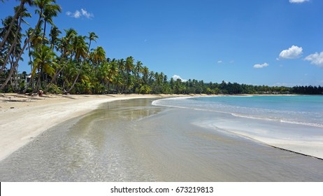 Bonita Beach On Samana In The Dominican Republic