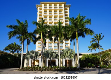 Coconut point, fl Images, Stock Photos & Vectors | Shutterstock