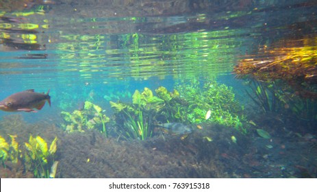 Bonito - Mato Grosso Do Sul