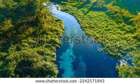 bonito river mato grosso do sul Foto stock © 