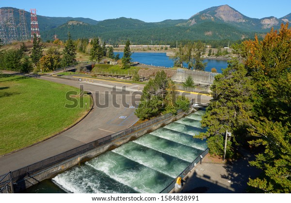 Bonneville, Oregon / USA – October 10, 2019: View\
to fish ladder at Bonneville Dam on the Columbia river from visitor\
center.
