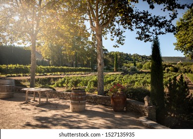 Bonnieux,France- 8.September 2019: Wine Farm In Provence