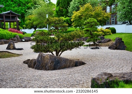 Bonsai garden japan green tree