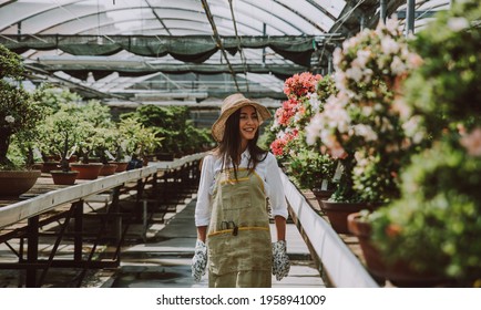 Bonsai greenhouse center. rows with small trees, woman working and taking care of the plants - Powered by Shutterstock