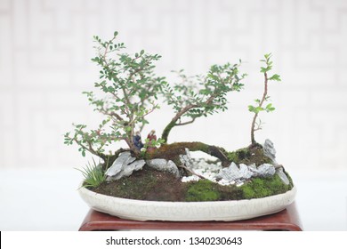 The Bonsai And Penjing Landscape With Miniature 