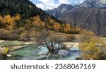 "Bonsai Pond, in Huanglong, China, is a symphony of autumnal hues during fall, where the delicate balance of nature and art creates a tranquil and aesthetically pleasing retreat."
