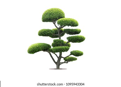 Japanese Trees Images Stock Photos Vectors Shutterstock