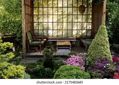 Bonsai Tree Growing In A Pot Outside In A Garden On A Background Of A Gazebo