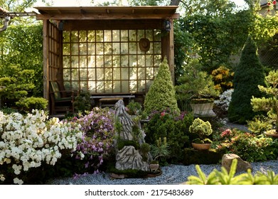 Bonsai Tree Growing In A Pot Outside In A Garden On A Background Of A Gazebo