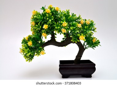 38 185 Bonsai With Flowers Images Stock Photos Vectors Shutterstock 38 185 Bonsai With Flowers Images Stock Photos Vectors Shutterstock