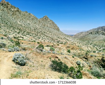 Boo Hoff Trail, Santa Rosa And San Jacinto Mountains National Monument, California