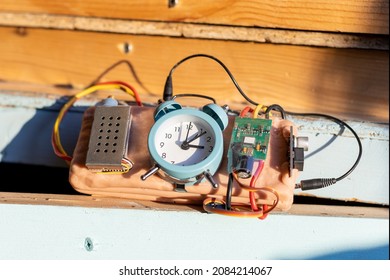 Booby Trap Bomb Prepared To Explode Outdoors